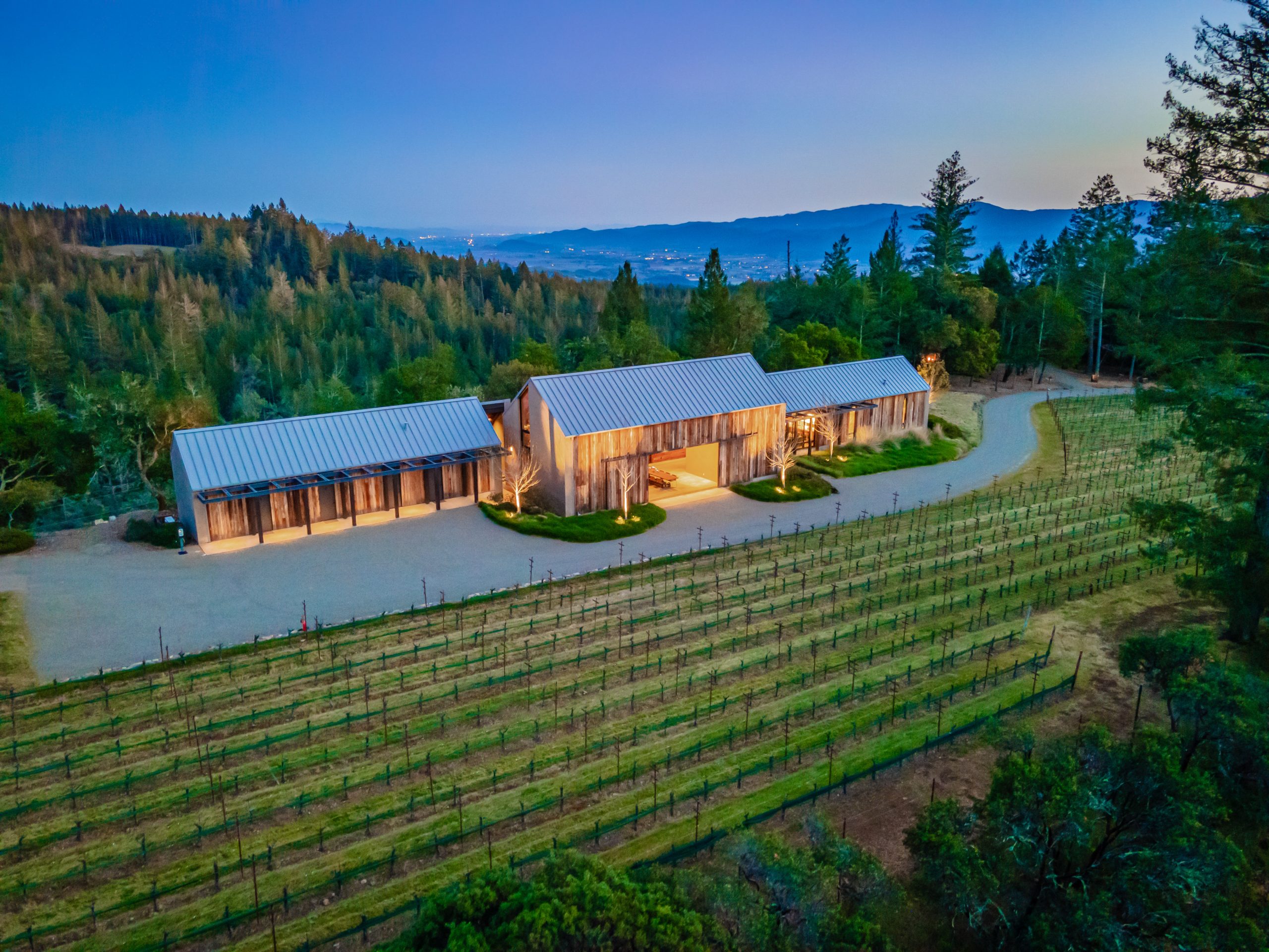 grand estate home set in a lush vineyard lit up at dusk